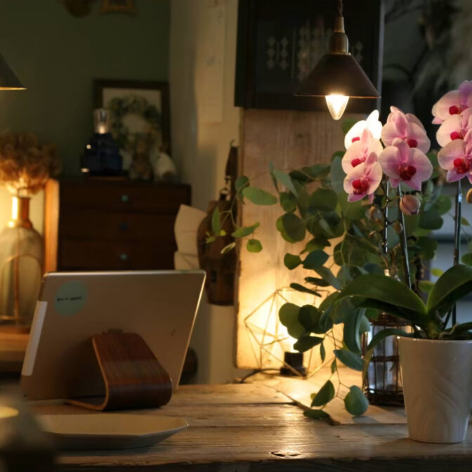 宮崎市にある小さな雑貨屋です